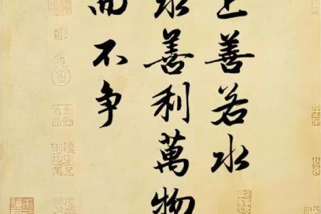 若水三千，命如浮萍：探讨人生的无常与选择