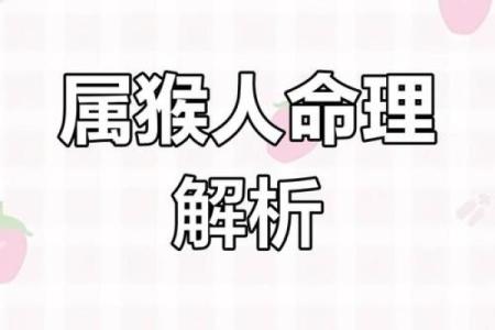 属猴男的命运解析：究竟哪种命格最适合他们？