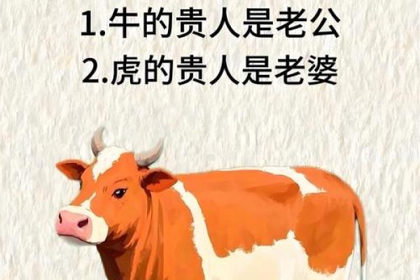 十月出生属牛者:命运与性格的完美结合 十月出生属牛者:命运与性格的完美结合