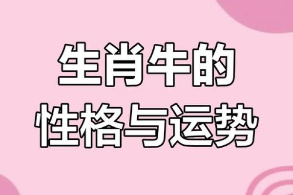 十月出生属牛者:命运与性格的完美结合 十月出生属牛者:命运与性格的完美结合