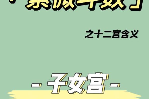 什么样的子女是贵子命?揭示命理的奥秘与智慧! 什么样的子女是贵子命?揭示命理的奥秘与智慧!