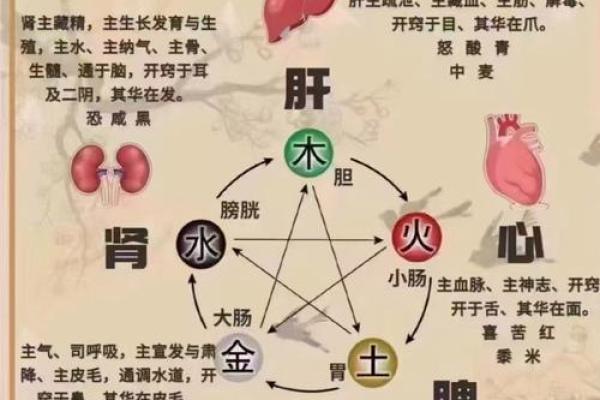 平地木命与火命的最佳搭配：相生相辅，情谊长存