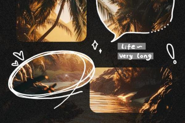 女儿为何选择养儿子：一段温情与责任的旅程