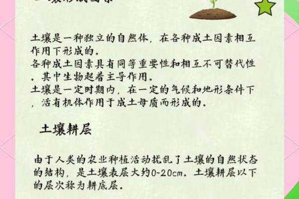 揭开土命的神秘面纱：了解土命的意义与特征