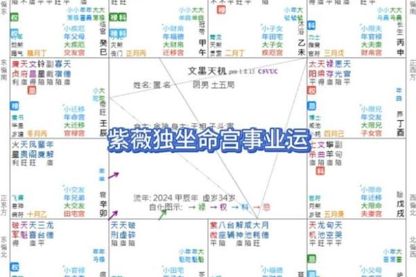 揭秘紫微命理：如何从命盘中看富贵命的奥秘