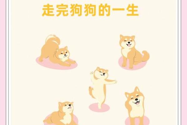 属狗人的命运解析:守护与忠诚的生命之旅 属狗人的命运解析:守护与忠诚的生命之旅