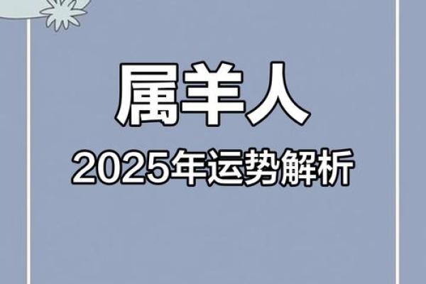 属羊人在虎年如何选择转运字，迎来好运气！