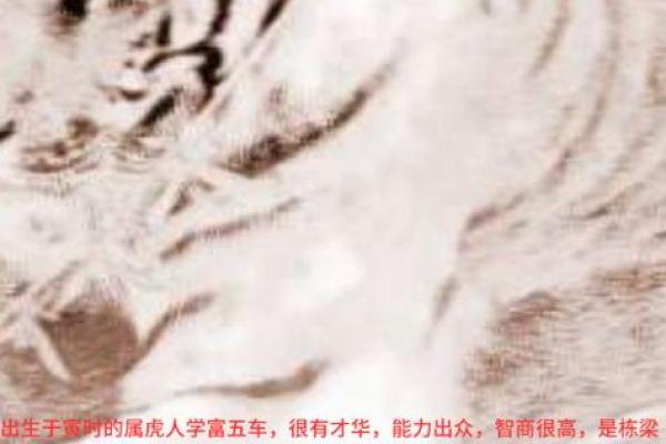 属虎二月二十三日的命理解析:揭示你与生俱来的潜能与特质 属虎二月二十三日的命理解析:揭示你与生俱来的潜能与特质
