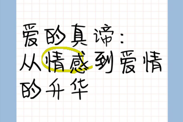 宠妻如命的男人：从懂得爱情到用心经营的真谛