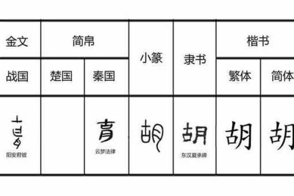 从名字看命运：探寻姓名背后的奥秘与影响力