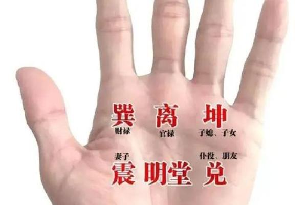 从手相图中看命运，揭示你的未来与潜能