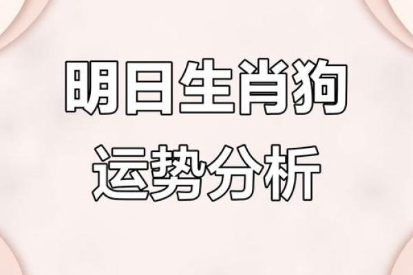 属狗水命人虎年运势剖析:缺什么、补什么、如何迎接挑战! 属狗水命人虎年运势剖析:缺什么、补什么、如何迎接挑战!