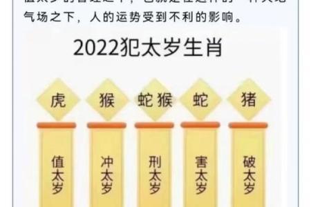 七十几岁属鼠的命理揭秘，生活智慧与健康之道