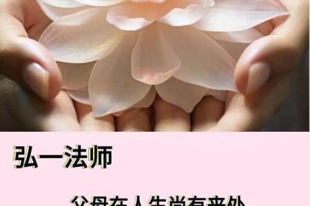 什么命格的人最适合坐莲花？探寻内心安宁的秘境