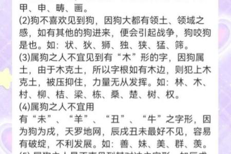 属狗人的五行命理解析与人生运势探讨