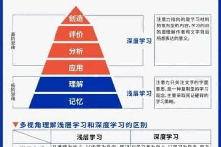 女命下等官星解析：意外的命运与智慧的选择