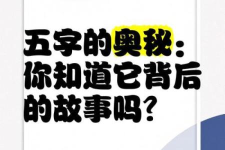 从名字看命运：探寻姓名背后的奥秘与影响力