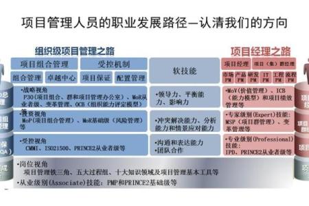 三两八钱女命的职业选择与发展之路