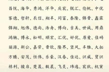 男生火命鼠年：最佳名字推荐与命名建议