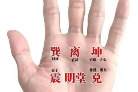 从手相图中看命运，揭示你的未来与潜能