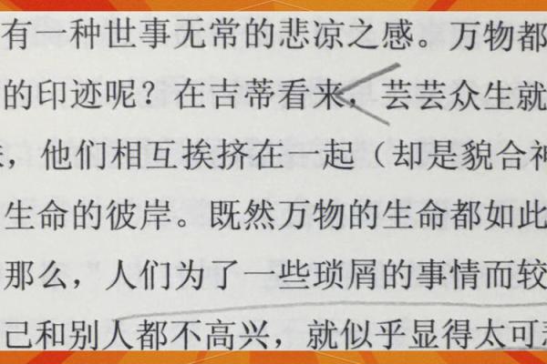 《你儿子一命》：爱与救赎的震撼人心之旅