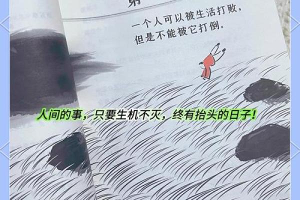 丧偶女人的命格：一段人生的启示与重生之路