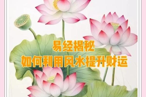 霹雳火命运的家居风水：选对地砖色彩，助力运势提升！