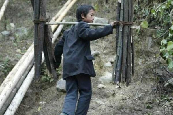 上山砍柴的命:生活中的辛勤与坚持之道 上山砍柴的命:生活中的辛勤与坚持之道