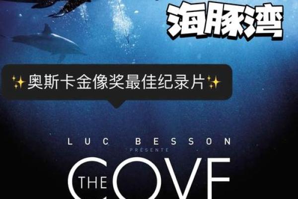 海豚救人：神秘海洋生物的温情传说与科学探索