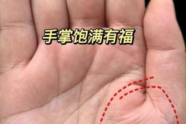 揭开甲子日二婚命运的秘密，解读不幸背后的原因