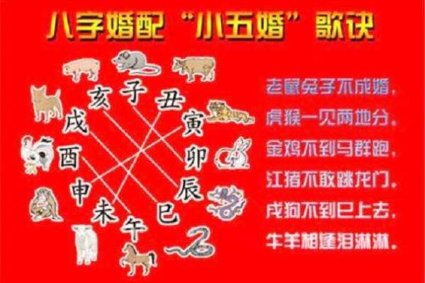 属虎与属鸡的命理解析及性格特点 属虎与属鸡的命理解析及性格特点