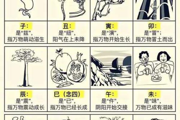 生下来是什么命就是什么命：探索命运与选择的奥秘