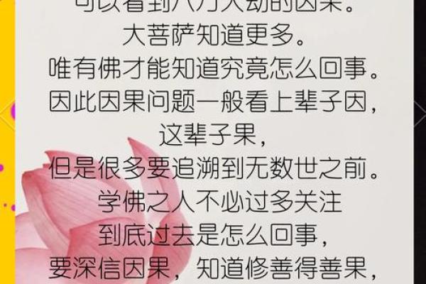 东寺命与西寺命：探秘命理学中的两大流派与人生智慧