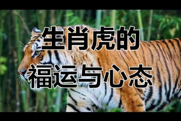 属虎二月五行命运解析：揭开生肖虎的神秘面纱