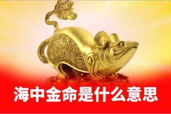 海中金命的旺盛人生与运势解析