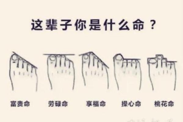 属狗人的命运与年龄对应分析,开启幸福人生的钥匙 属狗人的命运与年龄对应分析,开启幸福人生的钥匙