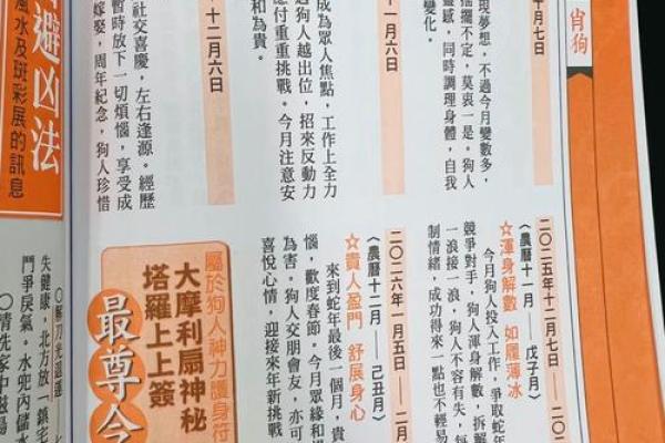 属狗人的命运与年龄对应分析,开启幸福人生的钥匙 属狗人的命运与年龄对应分析,开启幸福人生的钥匙