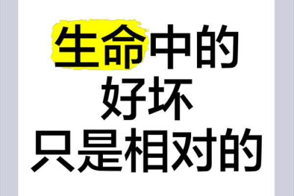什么叫命好，什么叫命坏？探讨生命中的运势与选择