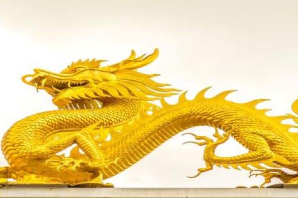 揭开上上签蝙蝠命的神秘面纱：命运与运势的深度解析