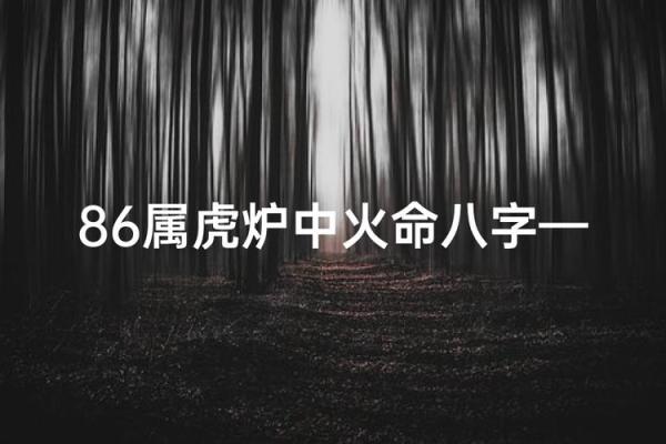 属虎炉中火命缺什么?探寻幸福人生的秘密 属虎炉中火命缺什么?探寻幸福人生的秘密