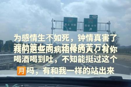 当命运的丝线交织，我为何要了你半条命？