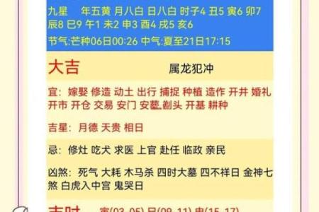 润6月五行属什么命：揭秘你的命理与人生