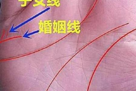 女人结婚头七年的命运如何？揭示婚姻初期的秘密与挑战