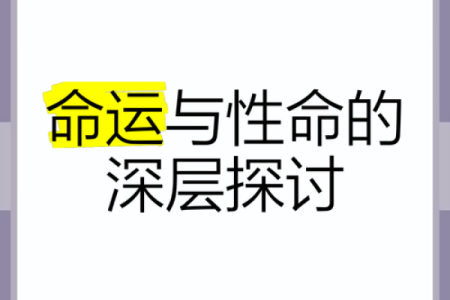 命运的牵引：探讨“你是什么命就是什么命”的深意与启示