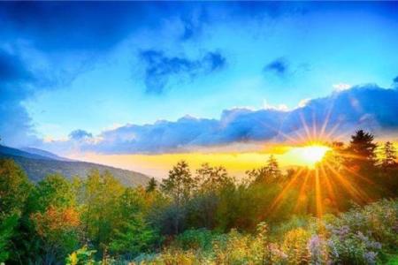 壬戊日虎年出生的命运解析：如何解读生肖与命主的深厚联系