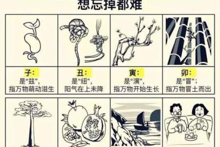 生肖月份命理对照表：解码你的命运之路