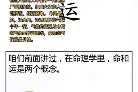 善命之人：命格背后的智慧与力量