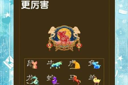 1949年属猪女性的命运与发展：解析与展望