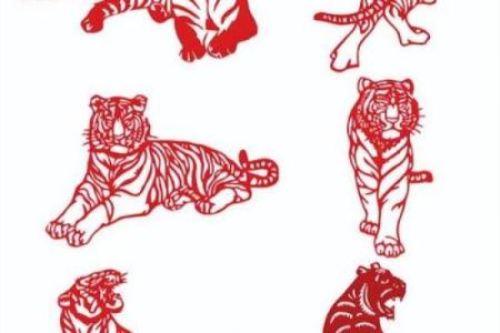 属虎腊月出生的人命运解析：揭开神秘面纱，发现无限可能！