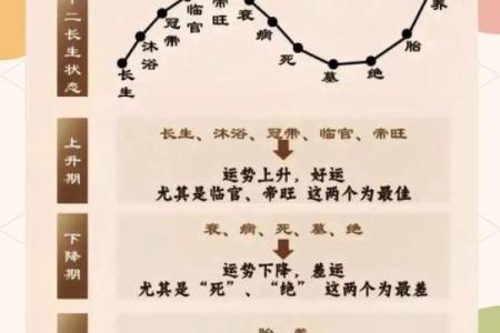 七九年八月十二的命运解读：探寻生命中的玄机与奥秘